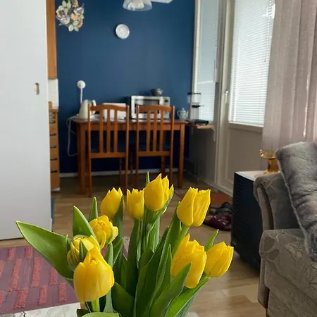 Hot Spot Of Vaasa, Large Balcony, Hall Views *