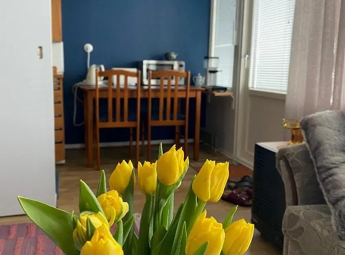 Hot Spot Of Vaasa, Large Balcony, Hall Views *